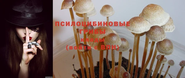ПСИЛОЦИБИНОВЫЕ ГРИБЫ Ростов