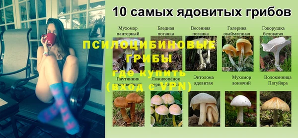 экстази Алексин