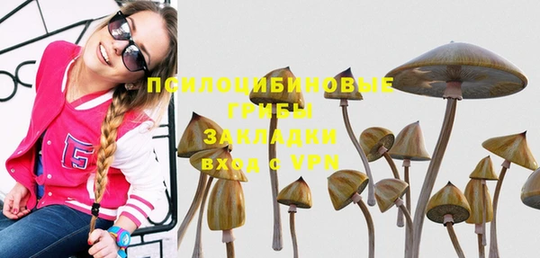 гидра Абдулино